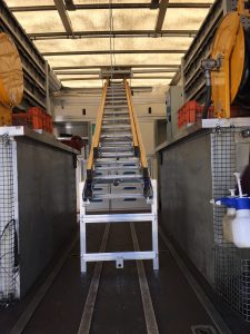 Ladder